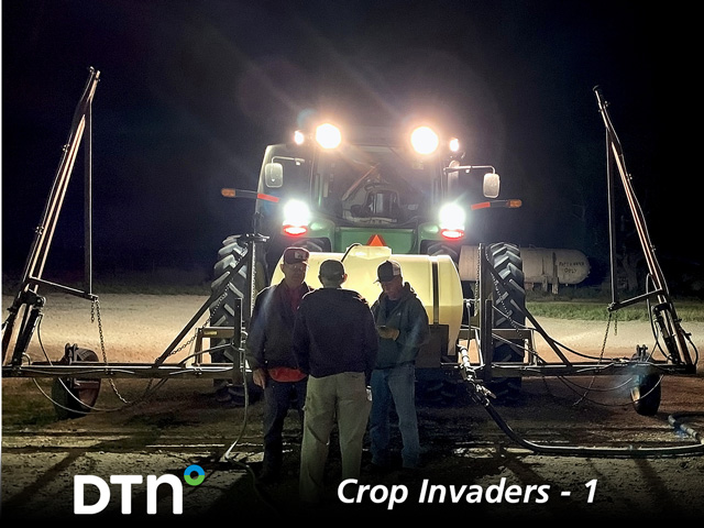 Scientists huddle with Gary Frost during a nighttime application of nematodes on his Texas farm. (DTN/Progressive Farmer photo by Patrick Porter, Texas A&amp;M)